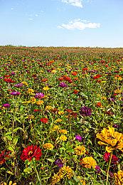 大神再爆料《战神：诸神黄昏》下周公布发售日